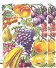 Chromo EF Découpis Fruits 7311