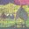 Paper Napkins Friedensreich Hundertwasser