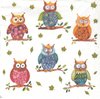 2 Paper Napkins Dressed Owl