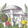 2 Paper Napkins Mushrooms