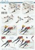 3D Decoupage Sheet 8215-709 Sport Ski