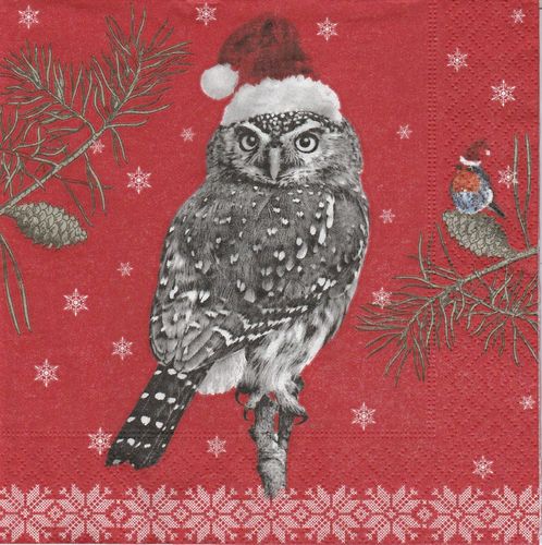 4 Paper Napkins Robin and Owl