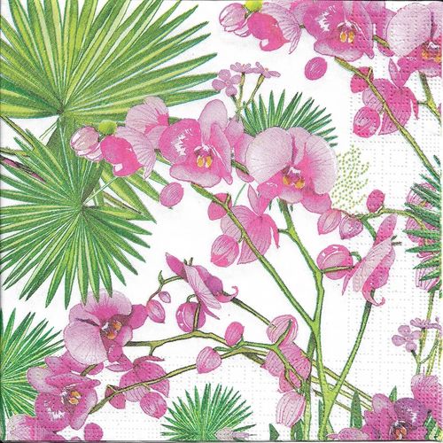 4 Serviettes papier Orchidée Palmier
