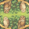 4 Paper Napkins Forest Owl