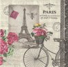 2 Paper Napkins Paris Bicycle
