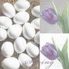 4 Paper Napkins Eggs & Tulips