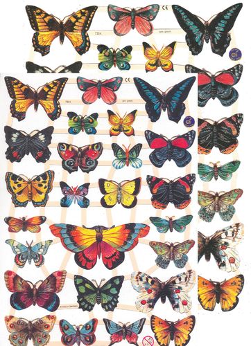 Chromo EF 7324 Butterfly