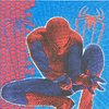 2 Paper Napkins Spiderman
