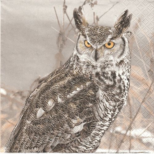 2 Paper Napkins Winter Owl