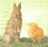 2 Paper Napkins Chick & Rabbit