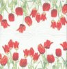 3 Mouchoirs papier Tulipes