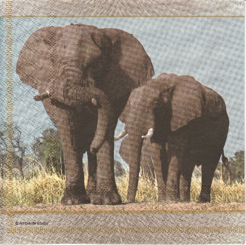 4 Paper Napkins Elephant