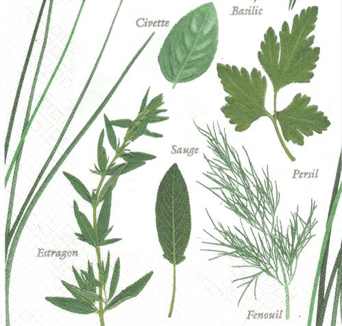 4 Paper Napkins Herbs