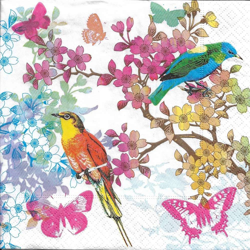 SERVIETTES EN PAPIER OISEAUX CAGE NATURE FLEURS PAPER NAPKINS BIRDS&FLOWERS 
