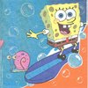 2 Paper Napkins Sponge Surfing