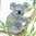 2 Paper Napkins Tropical Koala Bear