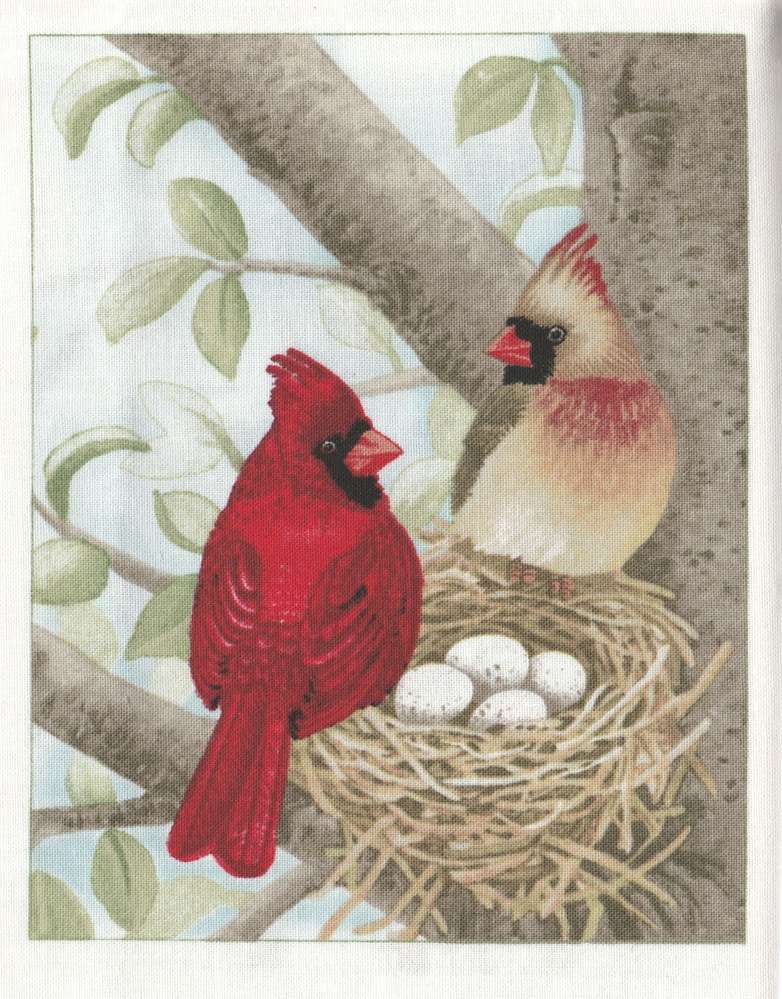 Vignette de Tissu 12x15 cm Cardinal Rouge Cotton Fabric Northern Cardinal 