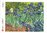 Papier de riz 16x22 cm Iris Van Gogh