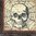 2 Paper Napkins Spooky Symbols Skull