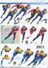 3D Decoupage Sheet 777-401 Ice-skating Sport