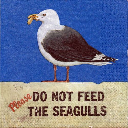 2 Paper Napkins Seagull