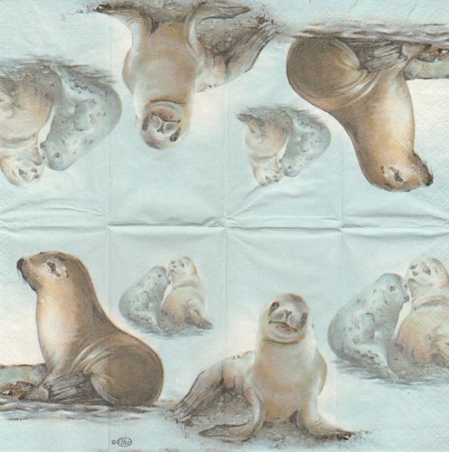 3 Paper Hankies Sea lion Ice floe