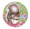 Iron-on patch Squirrel