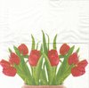 4 Serviettes Papier Tulipes