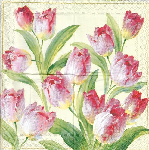 3 Paper Napkins Cocktail Tulips