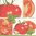 4 Serviettes papier Tomate Pomodoro