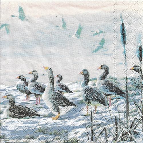 2 Paper Napkins Winter River Geese