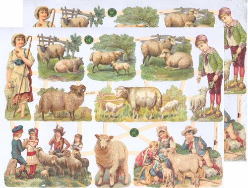 Chromo EF 7405 Shepherds Sheeps