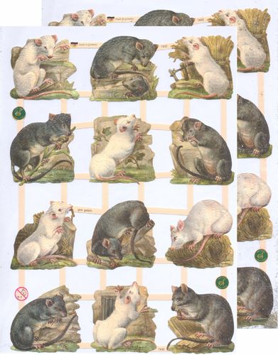 Chromo EF Rodent Rat N° 7432