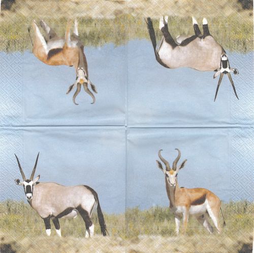 4 Serviettes papier Gazelle Antilope