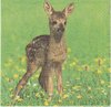 4 Paper Napkins Fawn