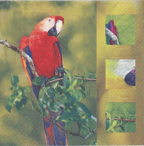 4 Paper Napkins Parrot