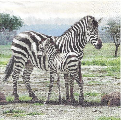 4 Paper Napkins Zebras