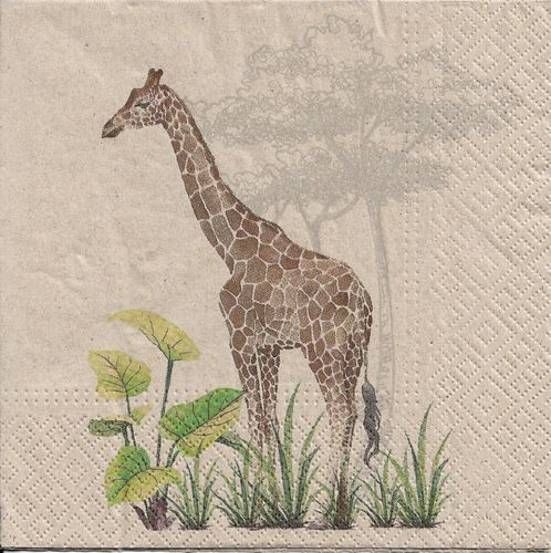 4 Serviettes papier Girafe Nature