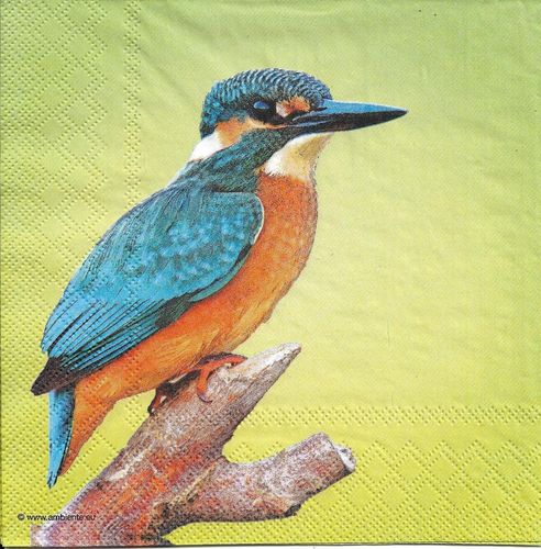4 Paper Napkins Kingfisher