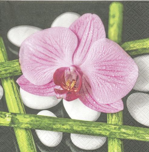 2 Serviettes papier Orchidée