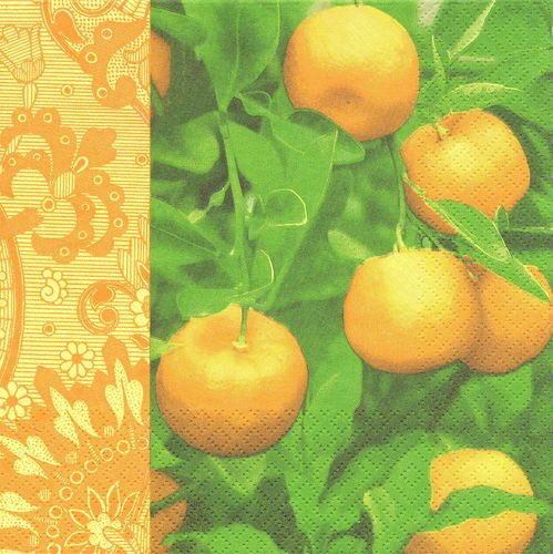 2 Serviettes papier Orange Orangeraie