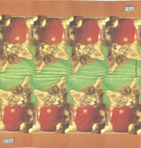 3 Paper Hankies Cat Apple
