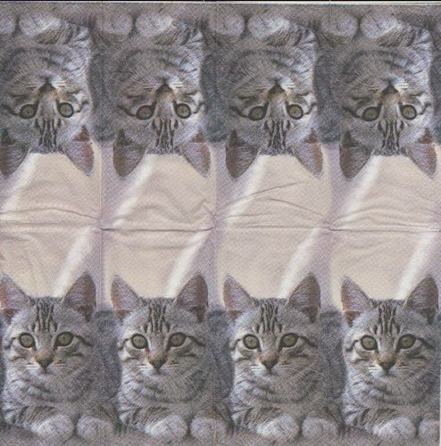 3 Paper Hankies Cuddly Cat