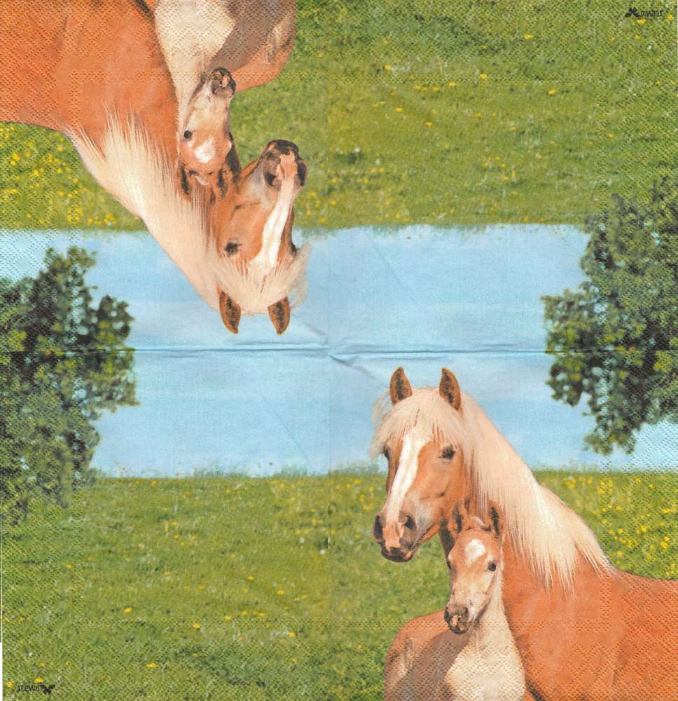 2 Serviettes en papier Animal Cheval Jument Poulain Paper Napkins Horse Foal 