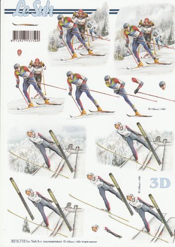Feuille 3D A4 8215.710 Sport Ski Skieur