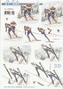3D Decoupage Sheet 8215-710 Sport Ski