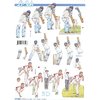 3D Decoupage Sheet 777-500 Cricket
