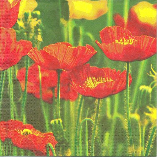 2 Paper Napkins Flower Field with Poppies
