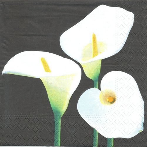 2 Serviettes papier Fleurs Arum Calla