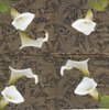 2 Serviettes papier Fleurs Arum d'Ethiopie